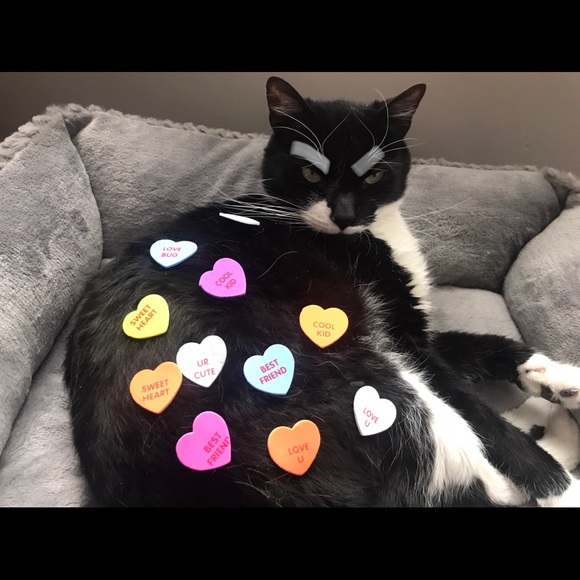 Meet your Posher, Jennifer - Picture 4 of 4